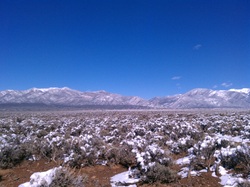Taos mesa sage and snow